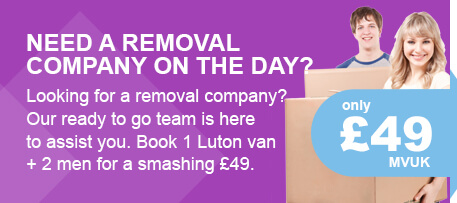 Quick and Cheap Removal Services