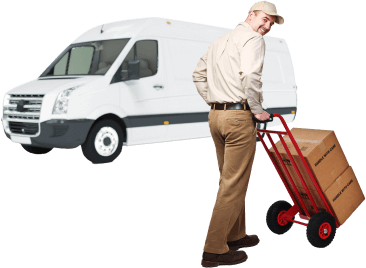 Suggested Removal Services