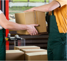 Basic Office Removals