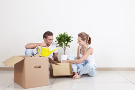 moving plants