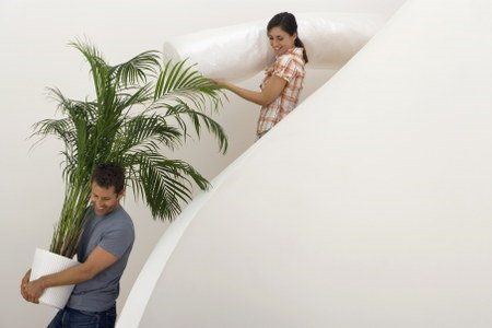 relocating plants