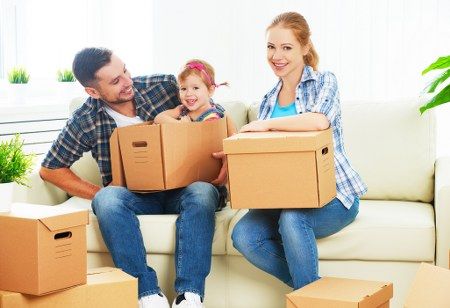 removal boxes